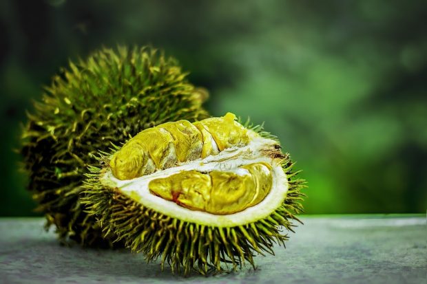 Buy MSW Durian