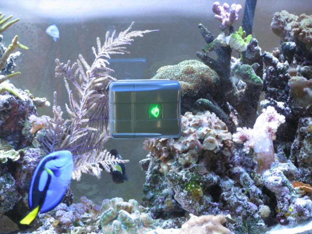 Custom Aquariums